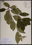000190306-thumbnail.jpg