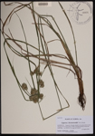 000190313-thumbnail.jpg