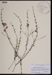 000190342-thumbnail.jpg