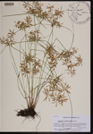 000190347-thumbnail.jpg