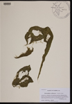 000190353-thumbnail.jpg
