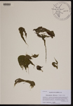 000190354-thumbnail.jpg