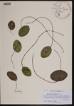 000190366-thumbnail.jpg