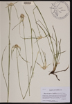 000190381-thumbnail.jpg