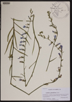 000190421-thumbnail.jpg