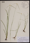 000190446-thumbnail.jpg