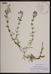 000190457-thumbnail.jpg