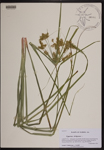 000190459-thumbnail.jpg