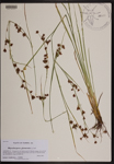 000190461-thumbnail.jpg