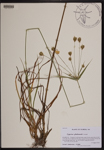 000190472-thumbnail.jpg