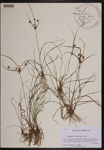 000190484-thumbnail.jpg