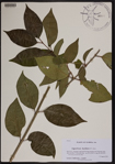000190493-thumbnail.jpg