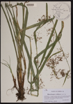 000190494-thumbnail.jpg