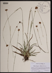 000190512-thumbnail.jpg