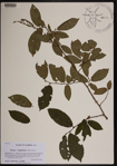 000190535-thumbnail.jpg