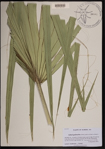 000190548-thumbnail.jpg