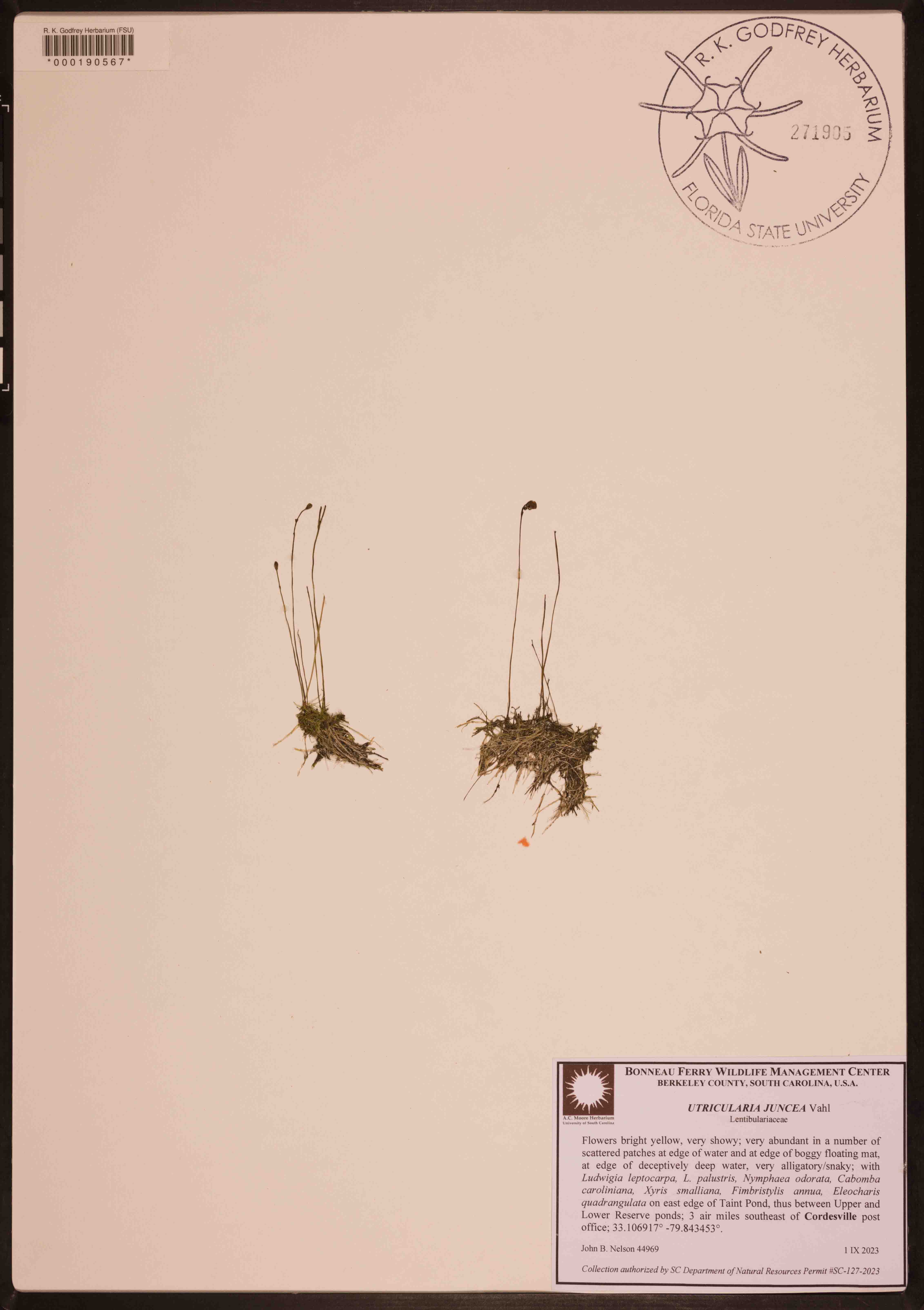 000190567-thumbnail.jpg