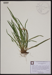 000190626-thumbnail.jpg