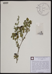 000190627-thumbnail.jpg