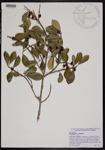 000190643-thumbnail.jpg