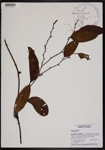000190661-thumbnail.jpg