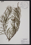 000190714-thumbnail.jpg