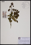 000190727-thumbnail.jpg