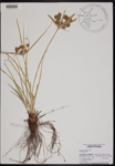000190730-thumbnail.jpg
