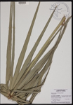 000190737-thumbnail.jpg