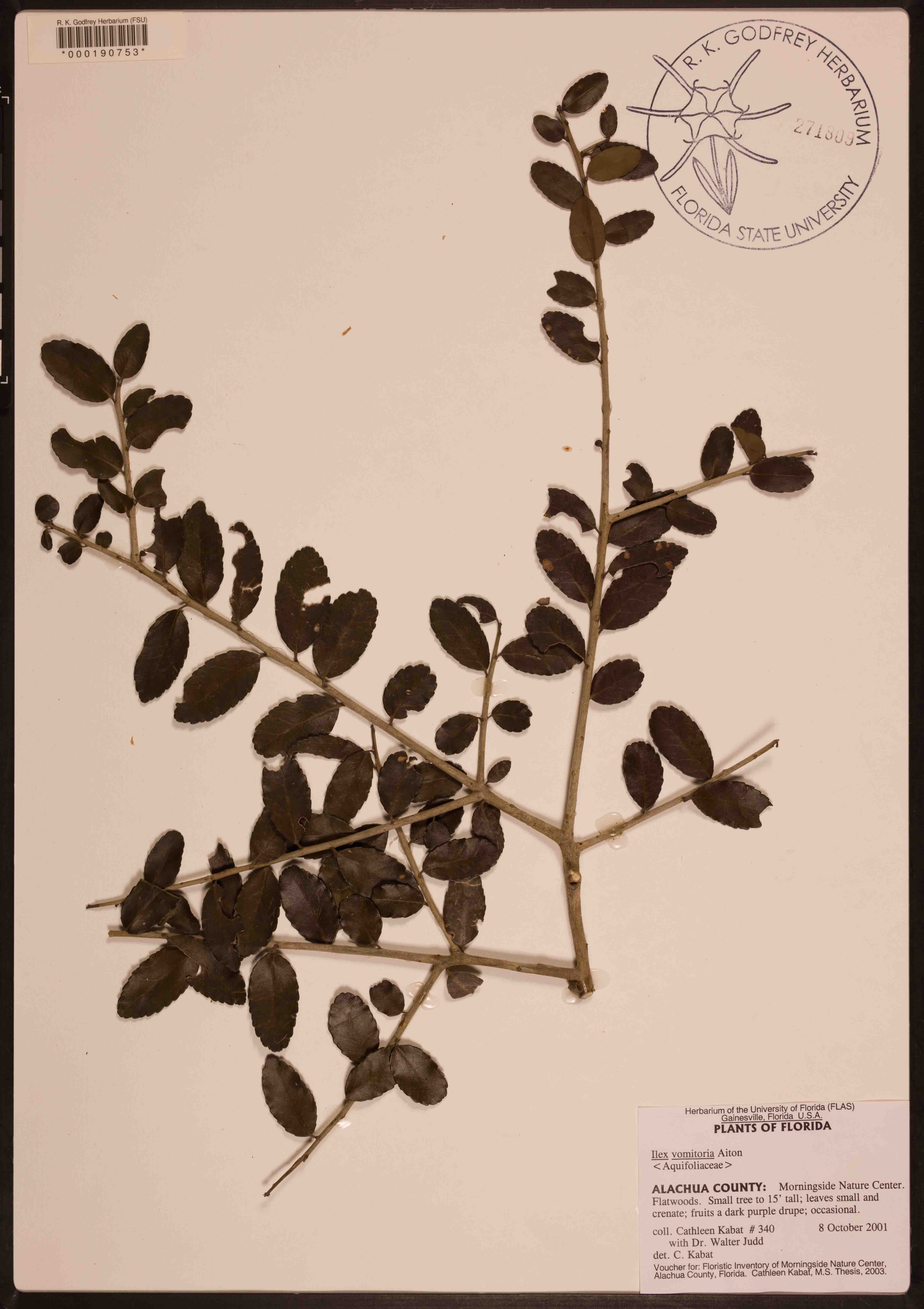 000190753-thumbnail.jpg
