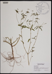 000190758-thumbnail.jpg