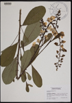 000190759-thumbnail.jpg