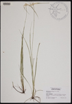 000190766-thumbnail.jpg