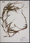 000190770-thumbnail.jpg