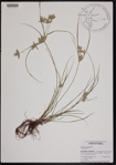 000190784-thumbnail.jpg
