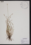 000190792-thumbnail.jpg