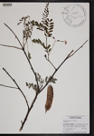 000190797-thumbnail.jpg