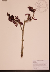000190810-thumbnail.jpg