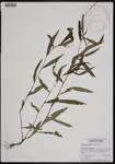 000190846-thumbnail.jpg