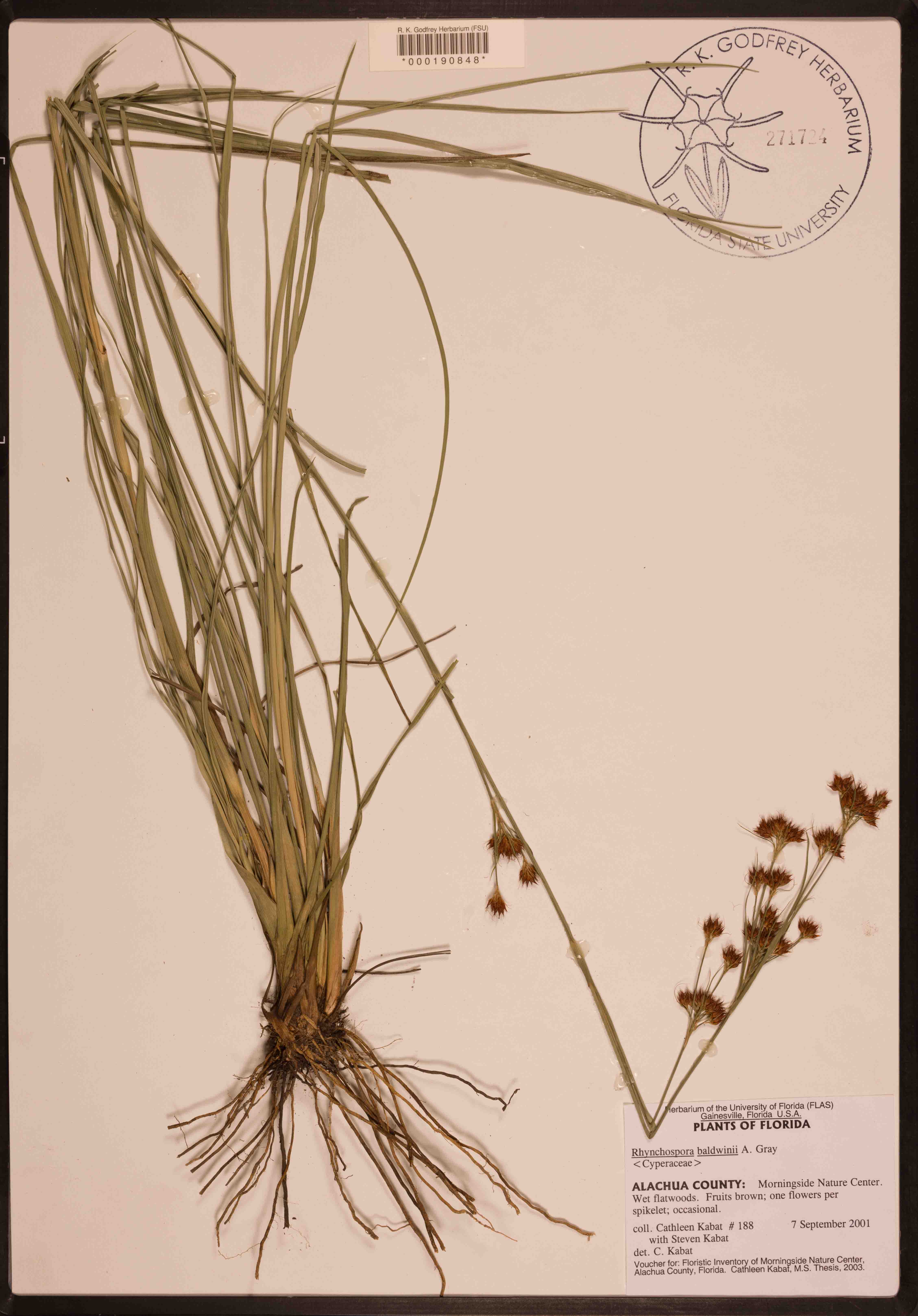 000190848-thumbnail.jpg