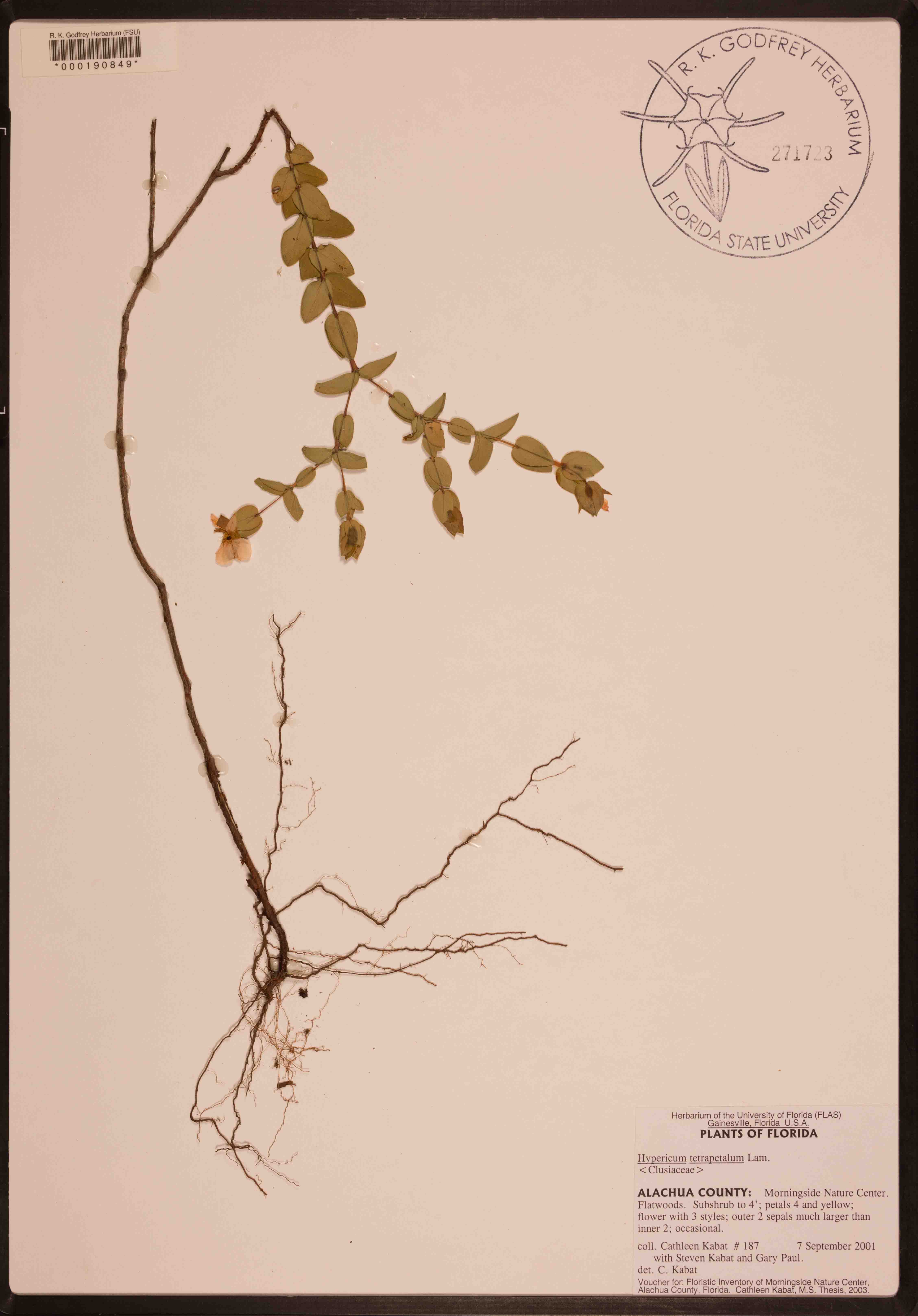 000190849-thumbnail.jpg