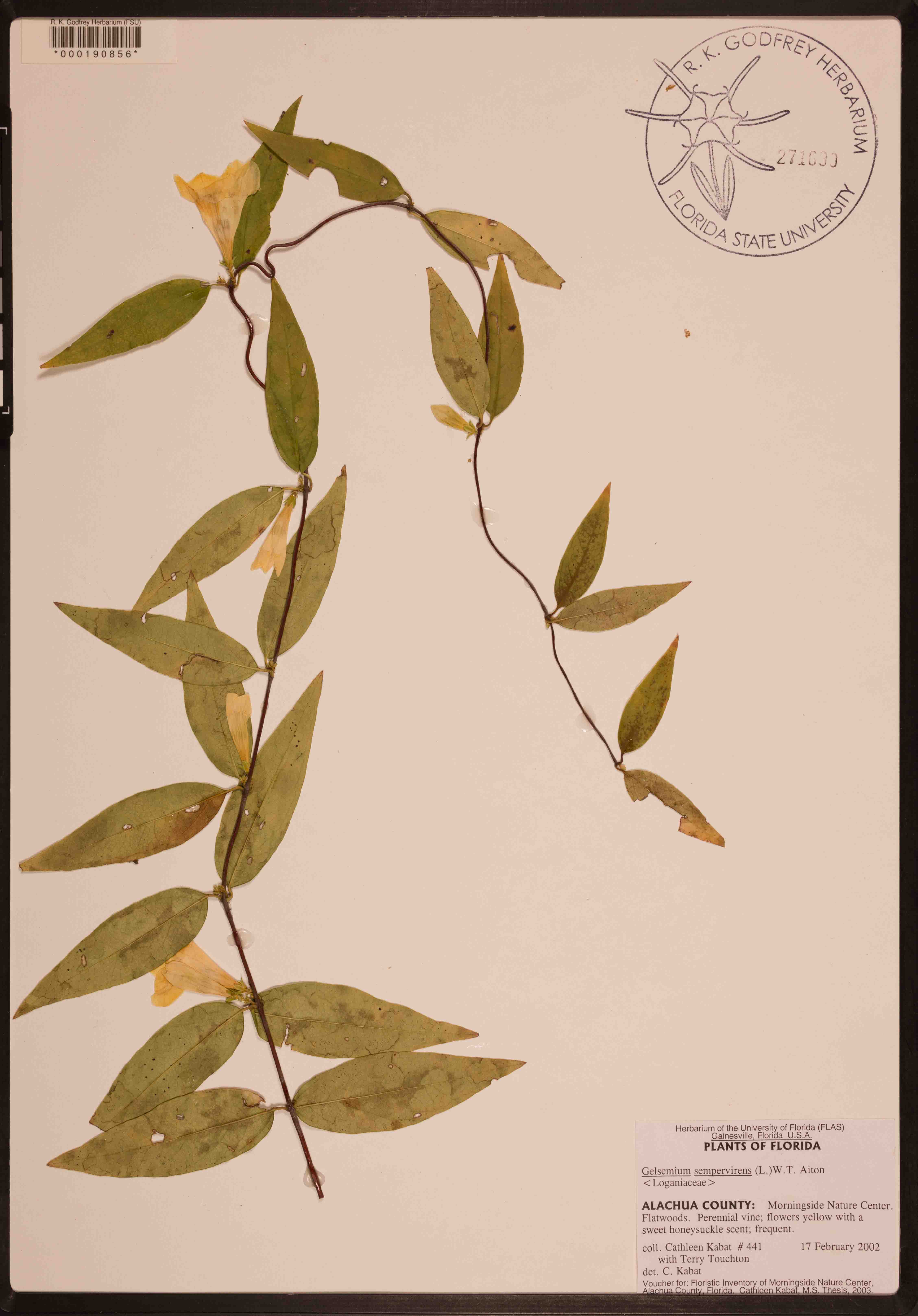 000190856-thumbnail.jpg