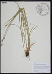 000190898-thumbnail.jpg