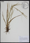 000190900-thumbnail.jpg