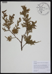 000190902-thumbnail.jpg