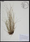 000190903-thumbnail.jpg
