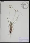 000190909-thumbnail.jpg