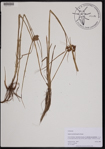 000190911-thumbnail.jpg