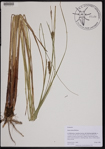 000190912-thumbnail.jpg