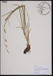 000190913-thumbnail.jpg